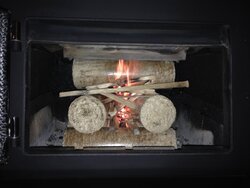 Manufactured wood / Firelogs