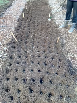 [Hearth.com] 2018 garden thread!