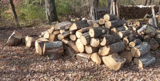 [Hearth.com] Unidentified oak