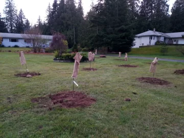 [Hearth.com] 2018 garden thread!