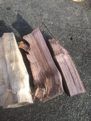 Firewood Identification