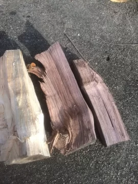 [Hearth.com] Firewood Identification