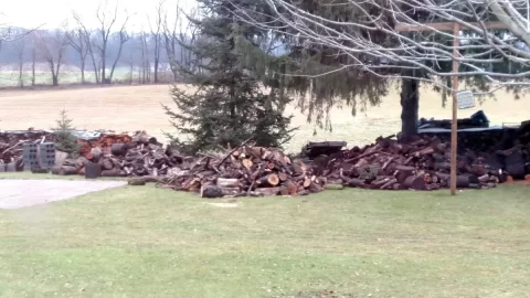 [Hearth.com] Cold weather needed to haul wood
