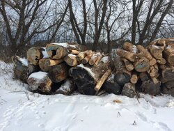 I found a source for cheap firewood