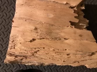 [Hearth.com] Wood ID
