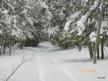 [Hearth.com] The Lane in the Winter.