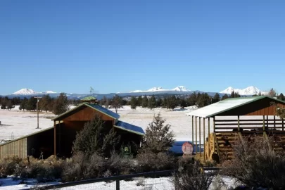 [Hearth.com] Cascades are pretty this morning