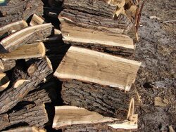 Verification of wood identification