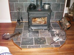 Your pets with your stove