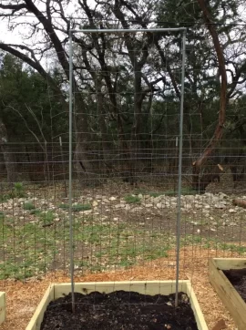 [Hearth.com] 2019 Garden Thread