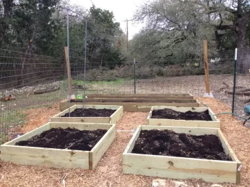 [Hearth.com] 2019 Garden Thread