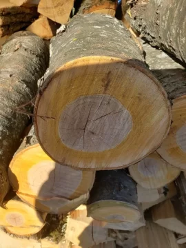 Wood ID