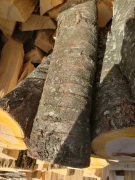 Wood ID