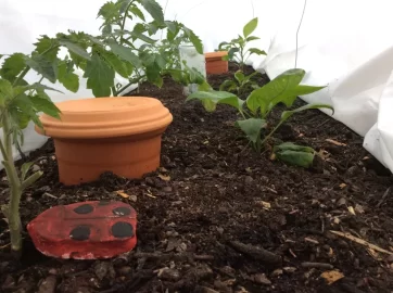 [Hearth.com] 2019 Garden Thread