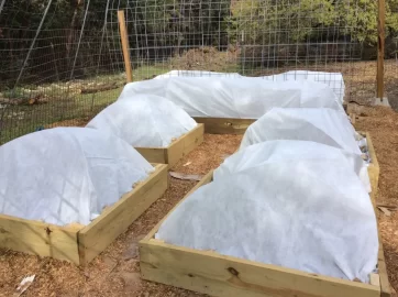 [Hearth.com] 2019 Garden Thread