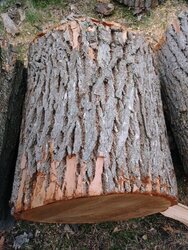 Little help with wood ID
