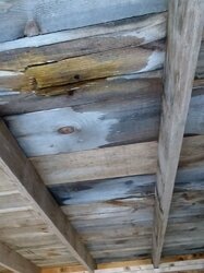 Patching up a shed roof