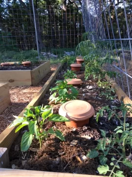 [Hearth.com] 2019 Garden Thread