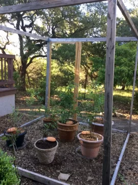 [Hearth.com] 2019 Garden Thread