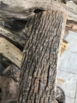 [Hearth.com] What type of maple?