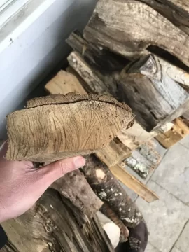 [Hearth.com] What type of maple?