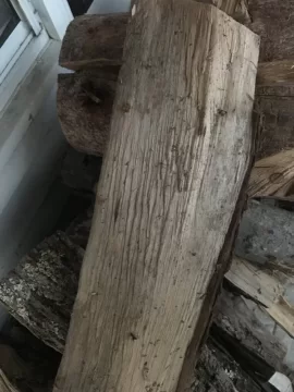 [Hearth.com] What type of maple?
