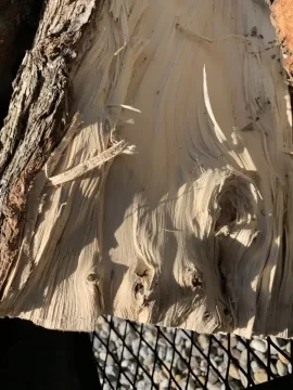 [Hearth.com] Wood ID