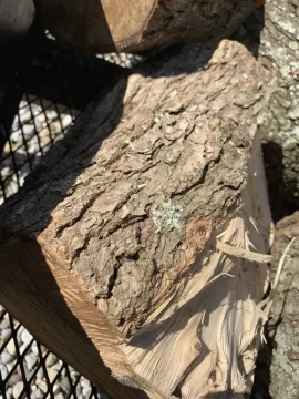 [Hearth.com] Wood ID