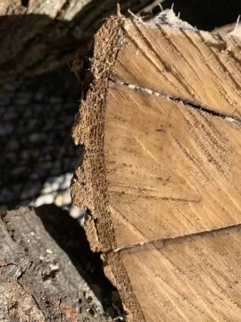 [Hearth.com] Wood ID