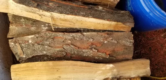 [Hearth.com] ID This Scrounge