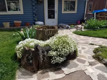 [Hearth.com] 2019 Garden Thread