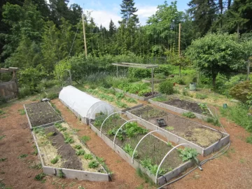 [Hearth.com] 2019 Garden Thread