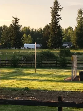 [Hearth.com] 2019 Garden Thread