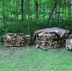 [Hearth.com] First year on wood heat, prepping for winter in the northeast