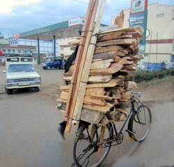 bicycle-hauling-wood.jpg