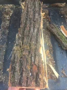 [Hearth.com] Wood I.D. Please