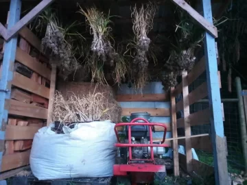 [Hearth.com] 2019 Garden Thread
