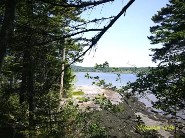 [Hearth.com] Hiking 2019