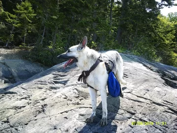 [Hearth.com] Hiking 2019