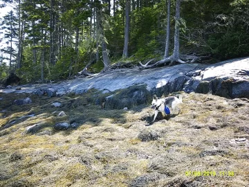 [Hearth.com] Hiking 2019