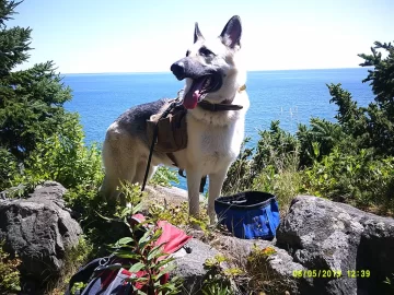 [Hearth.com] Hiking 2019