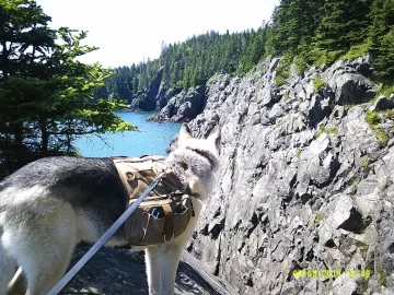 [Hearth.com] Hiking 2019