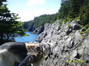 [Hearth.com] Hiking 2019