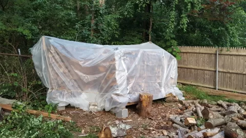 Solar kiln for hardwoods part deux