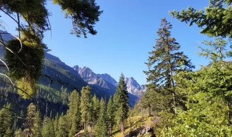 [Hearth.com] Hiking 2019