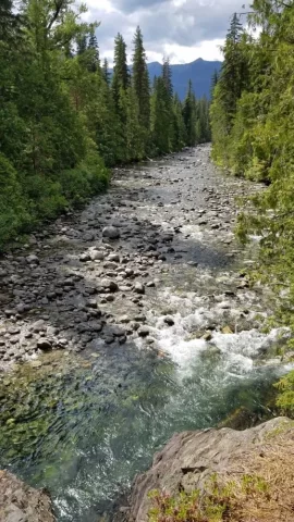 [Hearth.com] Hiking 2019