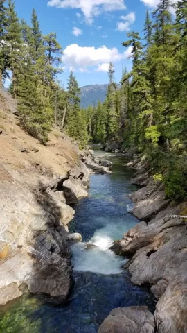 [Hearth.com] Hiking 2019
