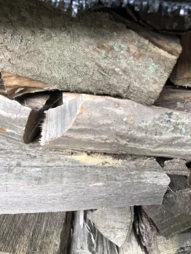 [Hearth.com] What’s this from