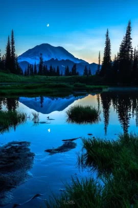[Hearth.com] Hiking 2019