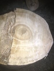 Wood ID . Is this white ash?